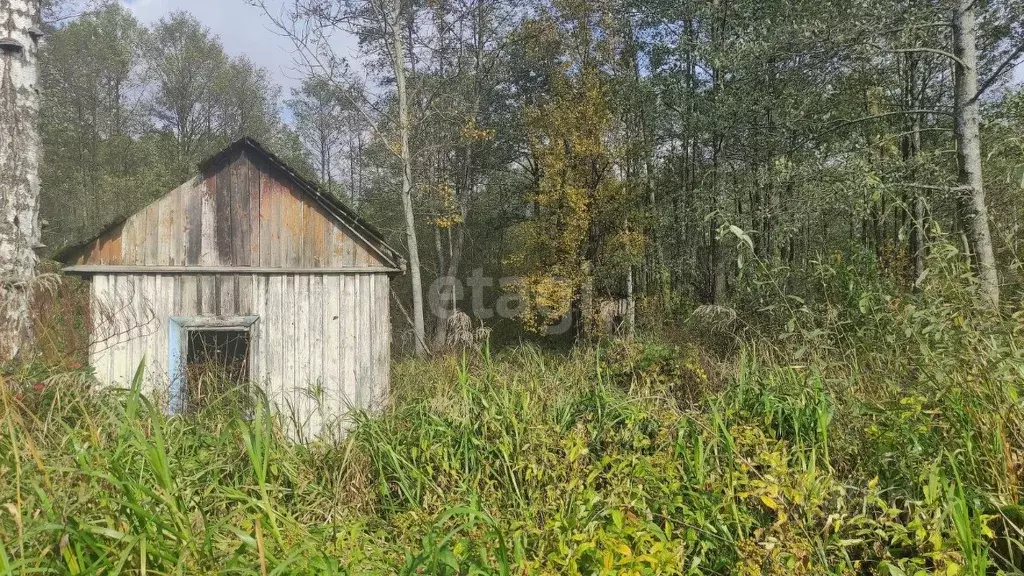 Дом в Брянская область, Брянск Железнодородник СНТ, 2 (10 м) - Фото 1