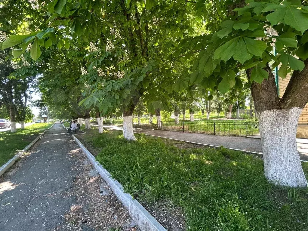 3-к. квартира, 58,3 м, 1/2 эт. - Фото 1