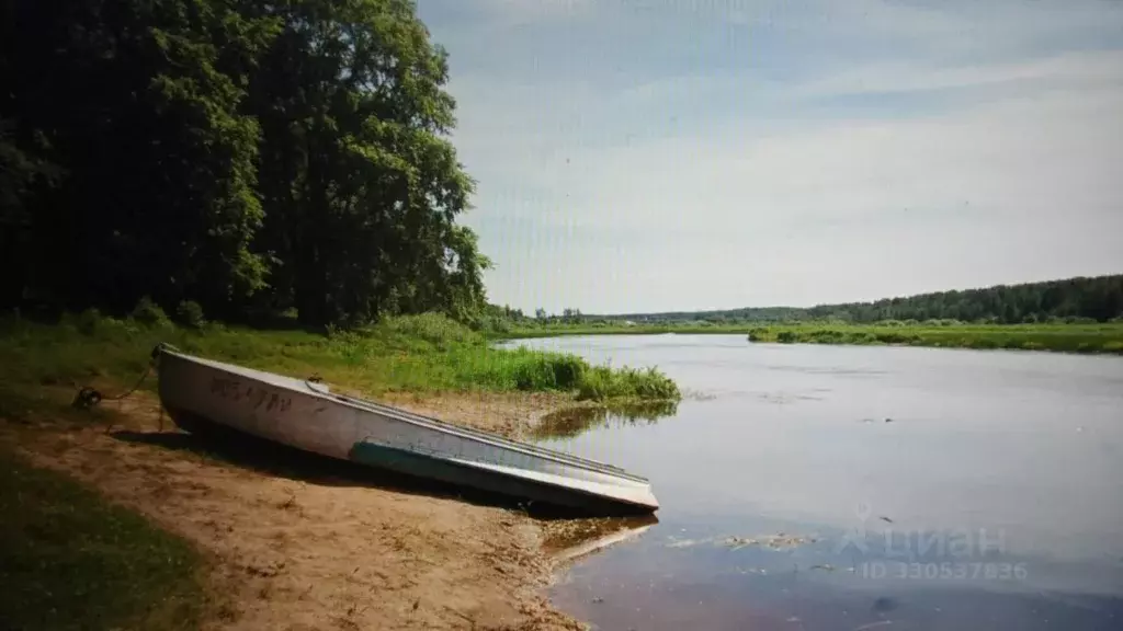Участок в Ленинградская область, Лужский район, Толмачево городской ... - Фото 1