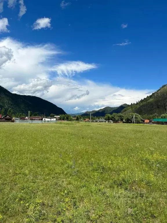 Участок в Алтай, Чемальский район, с. Анос  (12.0 сот.) - Фото 1