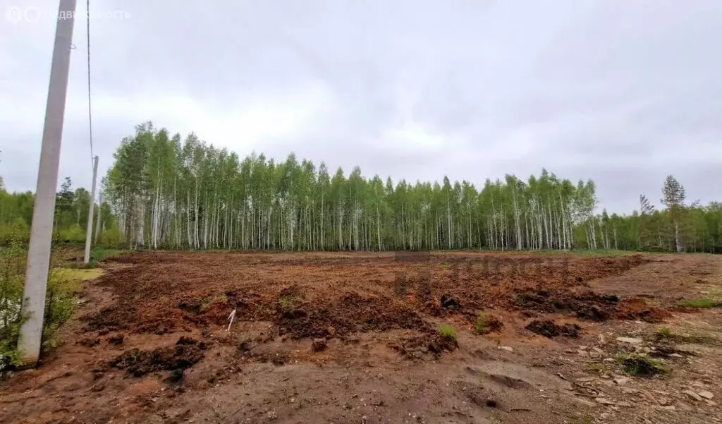 Участок в Кременкульское сельское поселение, коттеджный посёлок ... - Фото 0