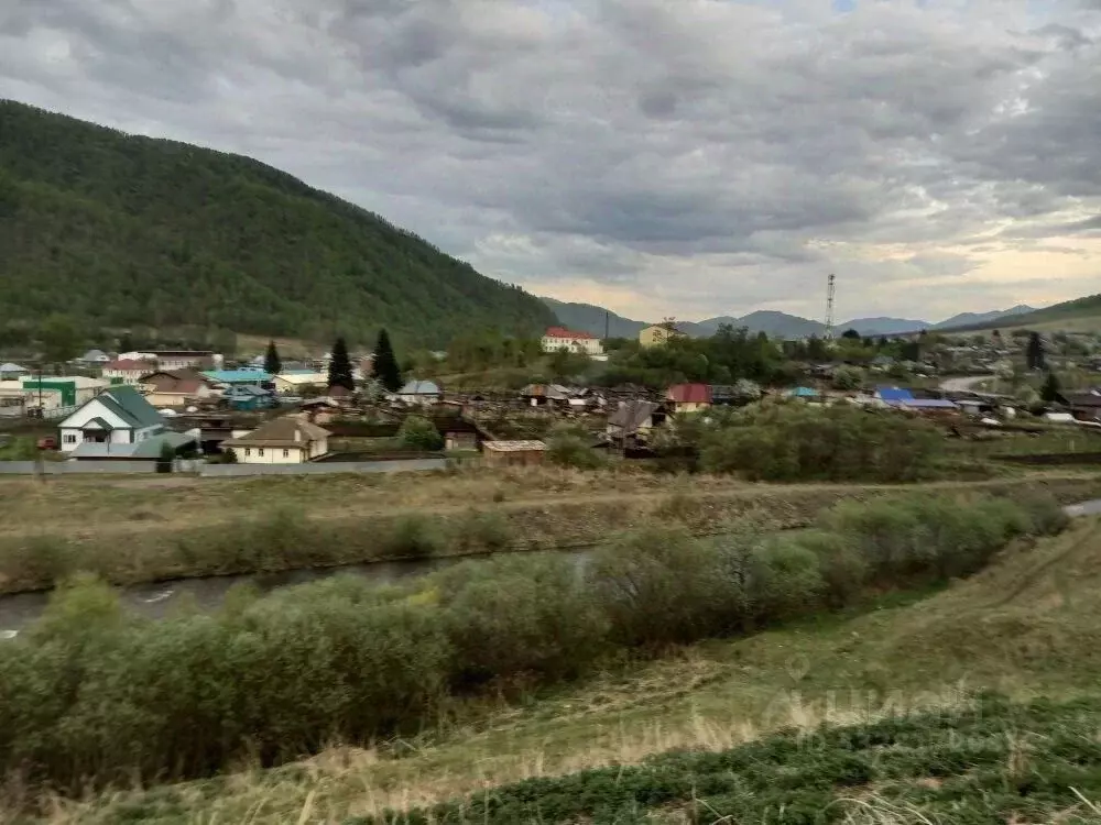 Участок в Алтай, Шебалинский район, с. Черга Октябрьская ул. (15.0 ... - Фото 1
