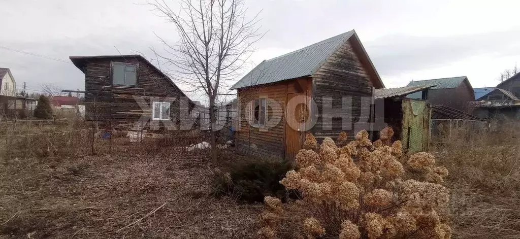 Участок в Новосибирская область, Новосибирск Светофор СНТ,  (4.76 ... - Фото 1