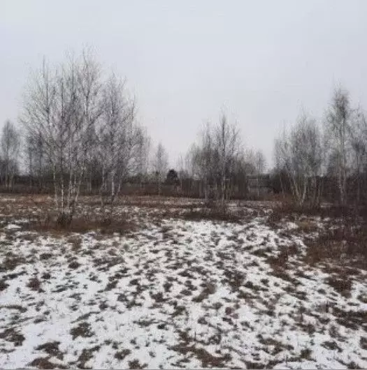 Участок в Московская область, Ступино городской округ, д. Тростники ... - Фото 0