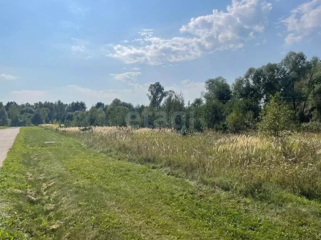 Участок в Тульская область, Заокский район, Страховское с/пос, д. ... - Фото 2