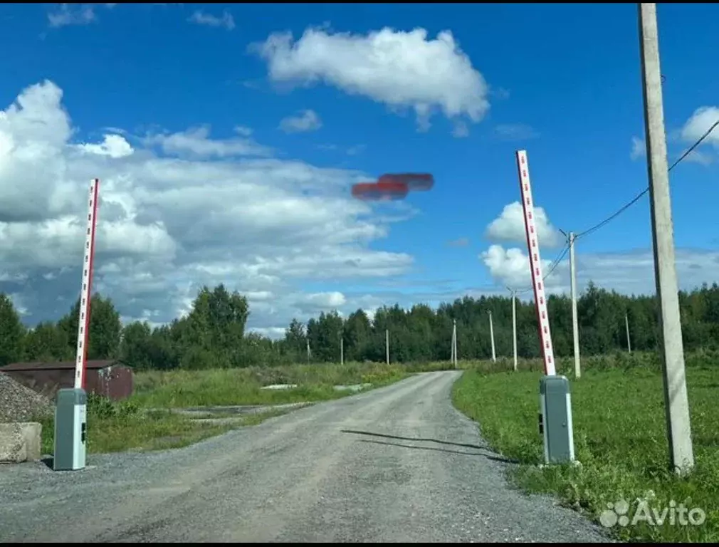 Участок в Новосибирская область, Новосибирский район, Барышевский ... - Фото 0