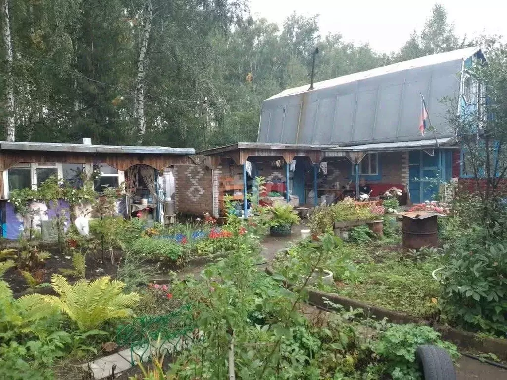 Дом в Омская область, Любинский район, Калинка СНТ 199 (50 м) - Фото 0