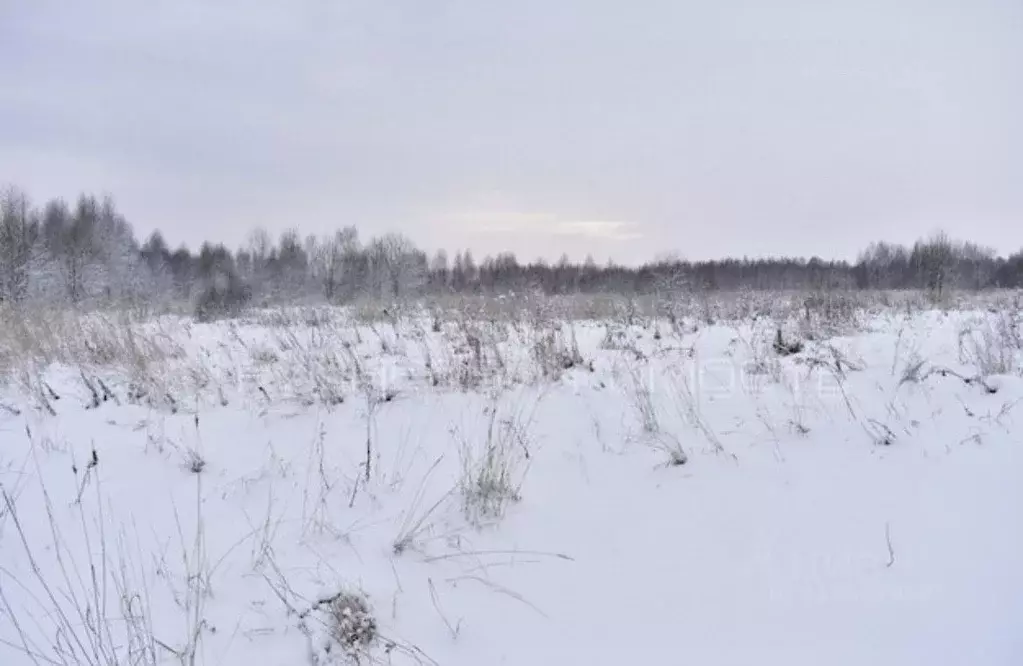 Участок в Кировская область, Слободской район, Шиховское с/пос, д. ... - Фото 0