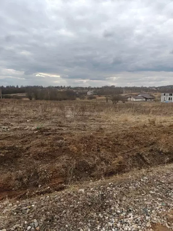 Участок в Владимирская область, Александровский район, Каринское ... - Фото 0