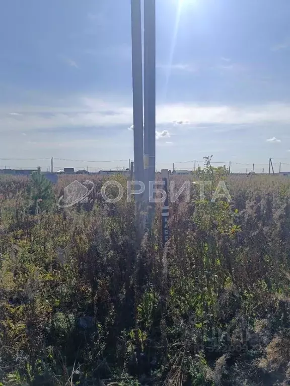 Участок в Тюменская область, Тюменский муниципальный округ, д. ... - Фото 1