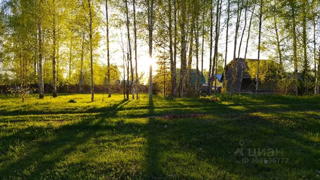 Участок в Тверская область, Калязинский муниципальный округ, д. ... - Фото 1