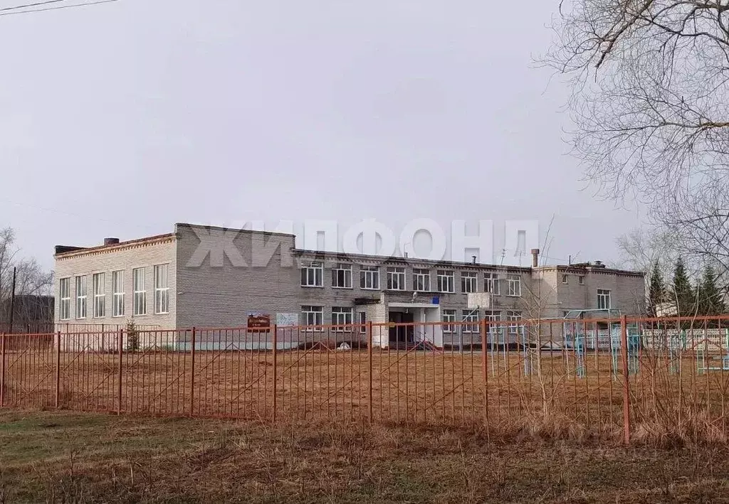 Участок в Новосибирская область, Коченевский район, с. Катково Новая ... - Фото 2