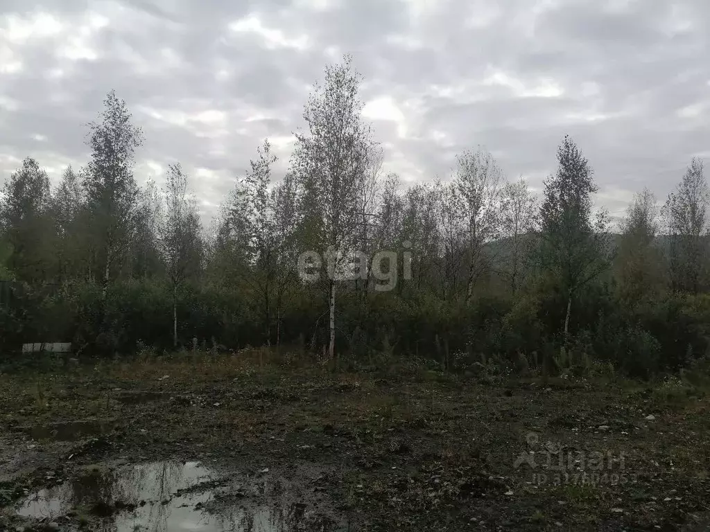 Участок в Кемеровская область, Междуреченск ул. Яворского (10.0 сот.) - Фото 0