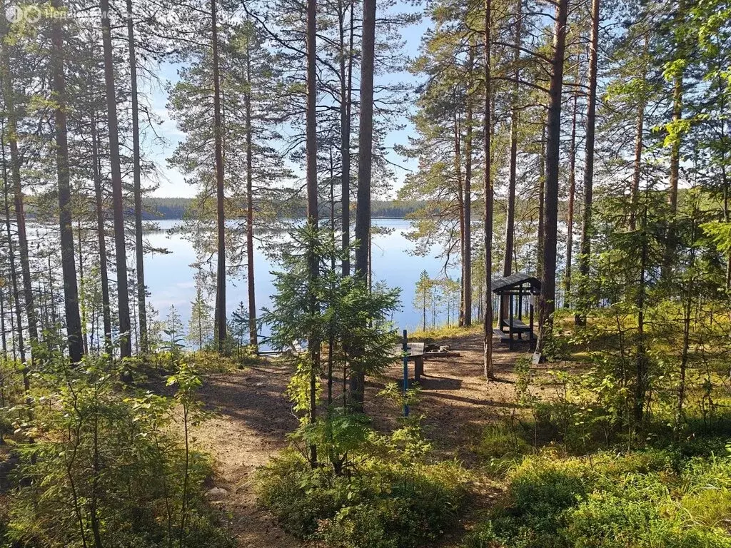 Участок в Нововилговское сельское поселение, СНТ Гильд, 30 (15 м) - Фото 1
