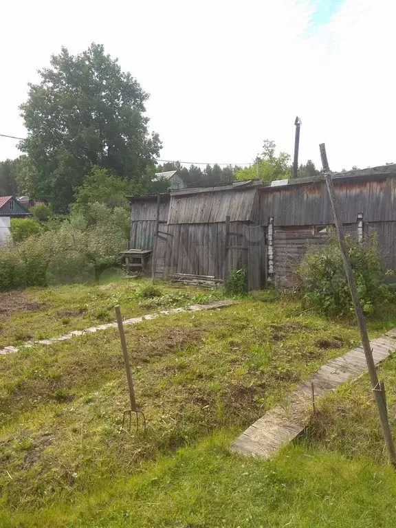 Участок 11 сот. (СНТ, ДНП) - Фото 0
