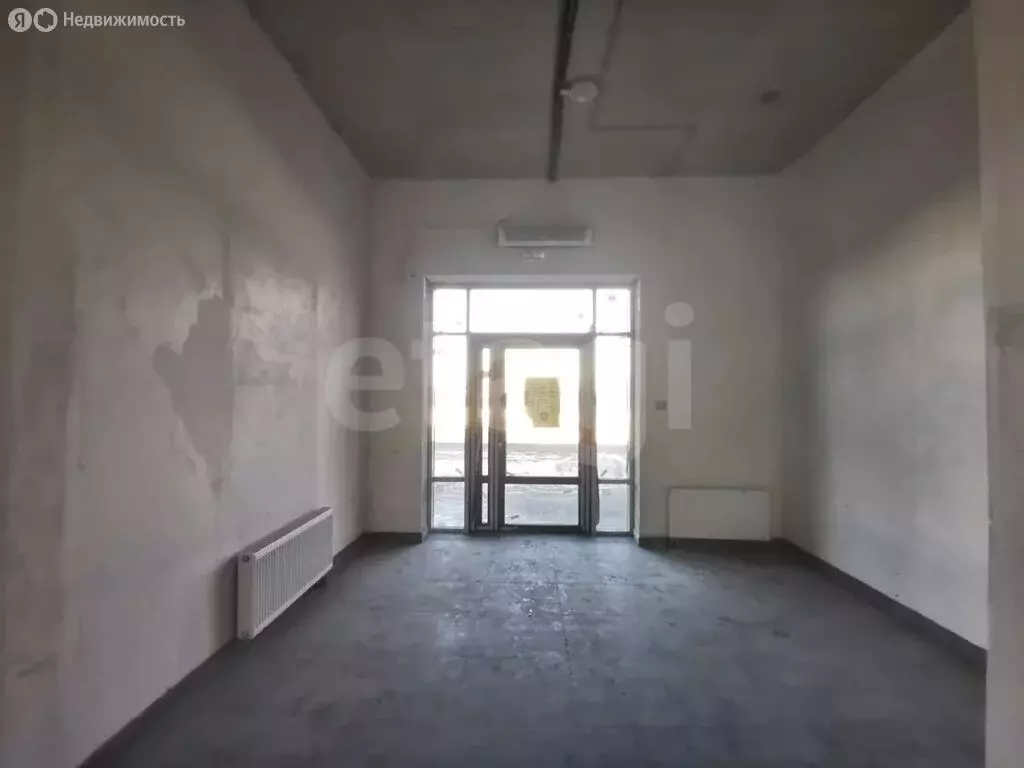 Помещение свободного назначения (42.9 м) - Фото 2