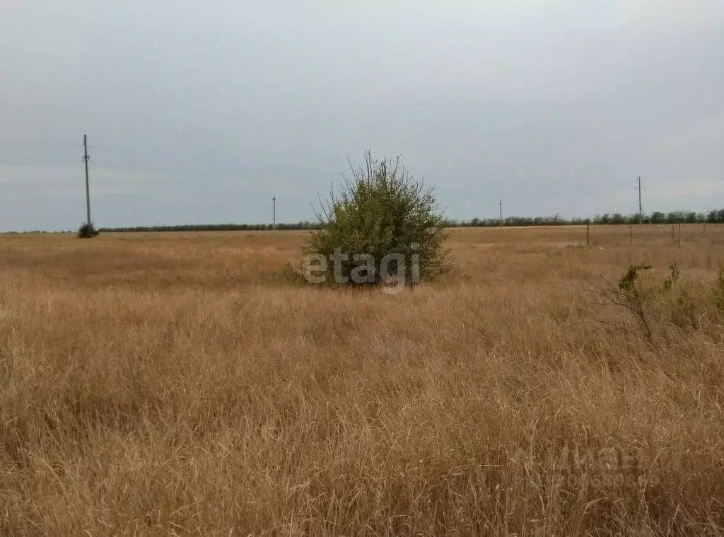 участок в крым, евпатория ул. виноградная (22.0 сот.) - Фото 1