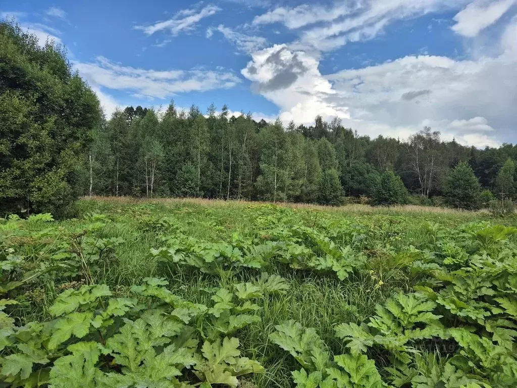 Участок в Москва д. Ярцево,  (9.0 сот.) - Фото 0