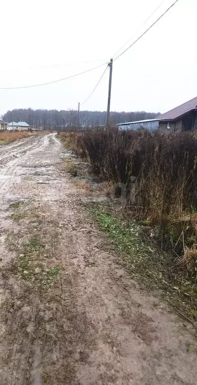 Участок в Калужская область, Ферзиковский муниципальный округ, ... - Фото 2