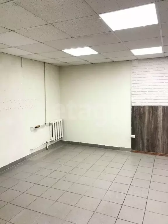 Торговая площадь в Кировская область, Киров Центральный Рынок мкр,  ... - Фото 1