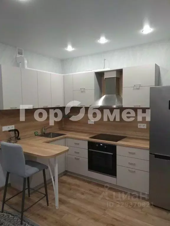 Студия Московская область, Подольск городской округ, д. Борисовка ул. ... - Фото 1