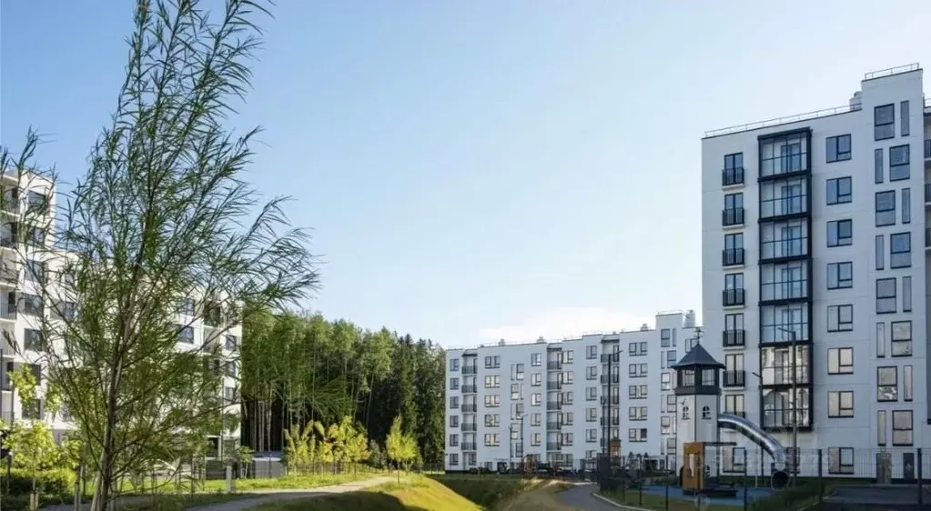 Студия Ленинградская область, Сертолово Всеволожский район, ... - Фото 1