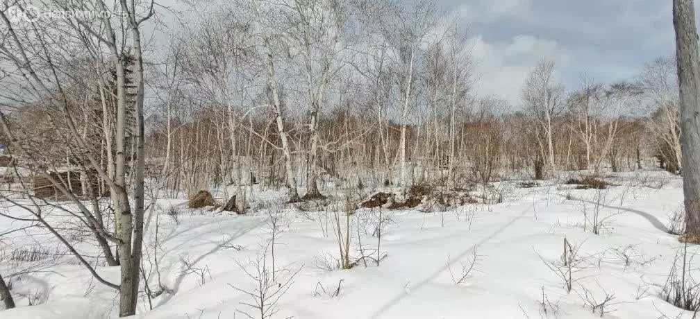 Участок в Камчатский край, Елизовский муниципальный округ, СНТ ... - Фото 2