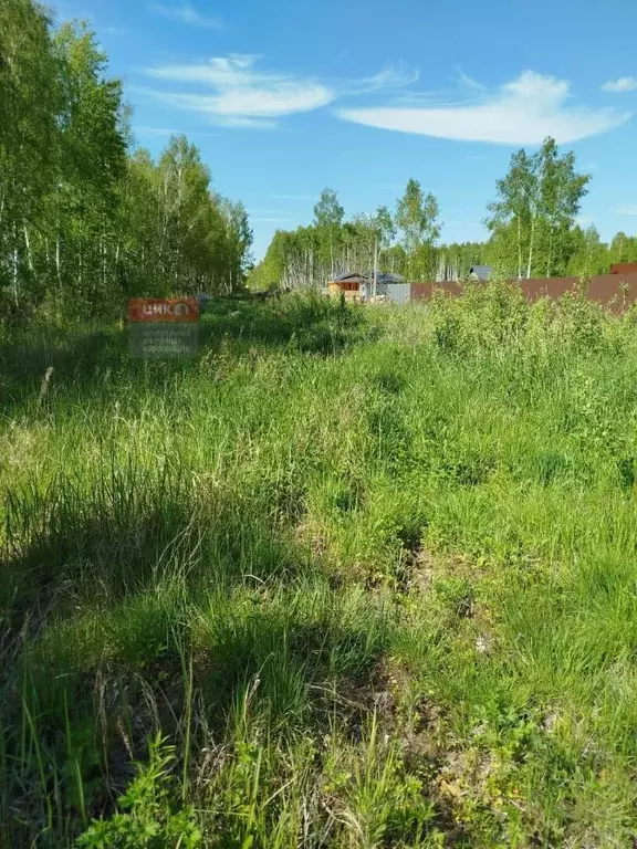 Участок в Рязанская область, Рязанский муниципальный округ, с. ... - Фото 1