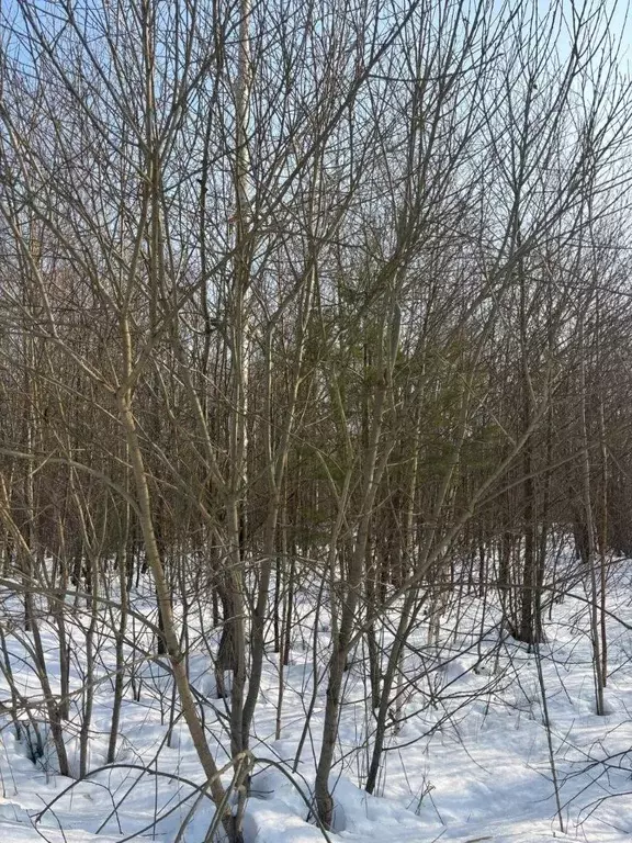 Участок в Московская область, Электрогорск Павлово-Посадский городской ... - Фото 2