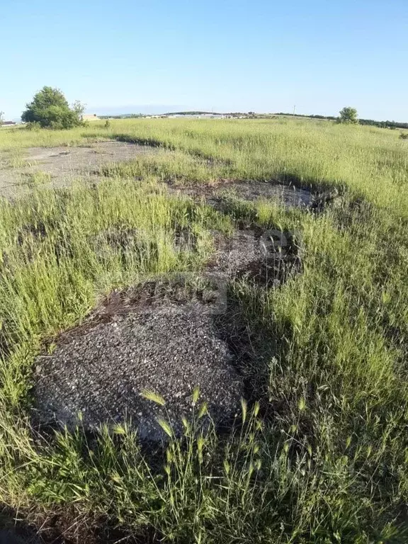 Участок в Крым, Симферопольский район, с. Мирное  (6.0 сот.) - Фото 1