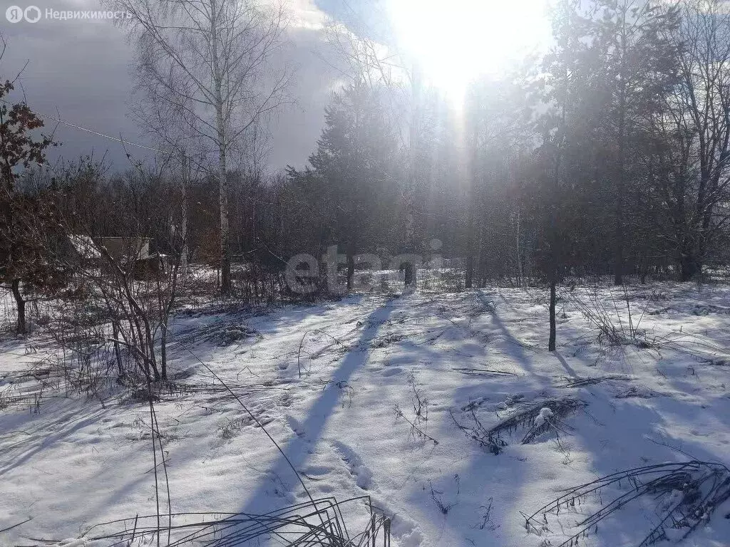 Участок в Брянск, СНТ Родничок (7.7 м) - Фото 1