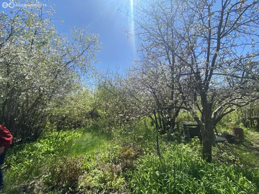 Дом в Нежинский сельсовет, СНТ Дружба (18 м) - Фото 2