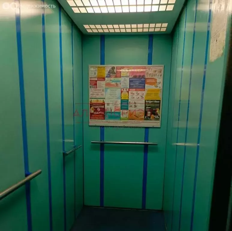 2-комнатная квартира: Новосибирск, улица Петухова, 128/1 (54.9 м) - Фото 1