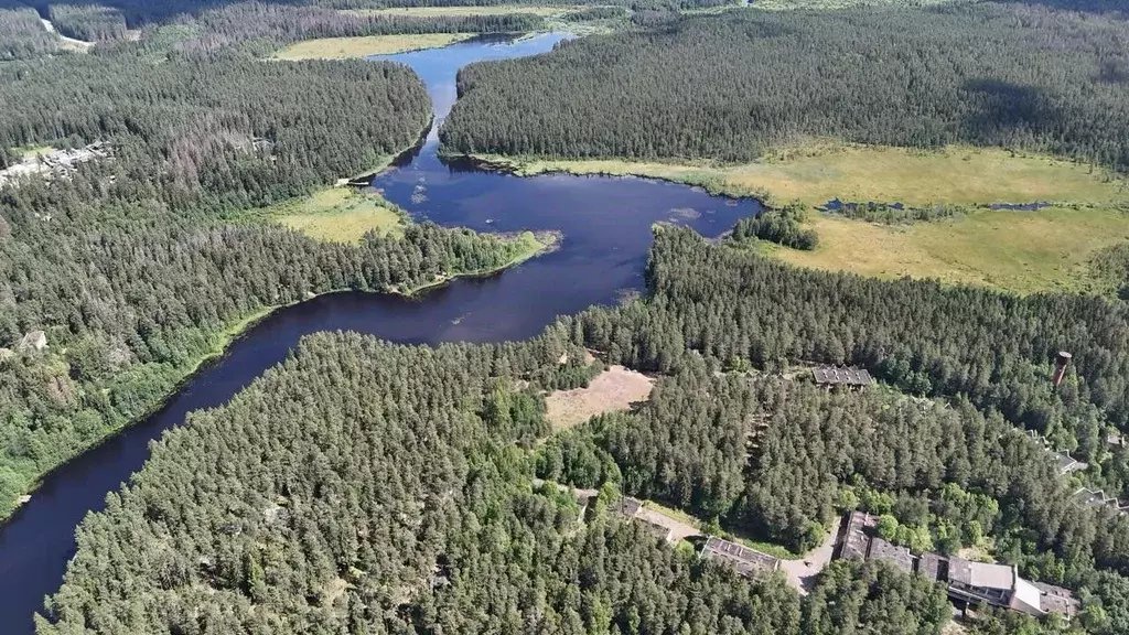 Участок в Ленинградская область, Выборгский район, Рощино городской ... - Фото 2