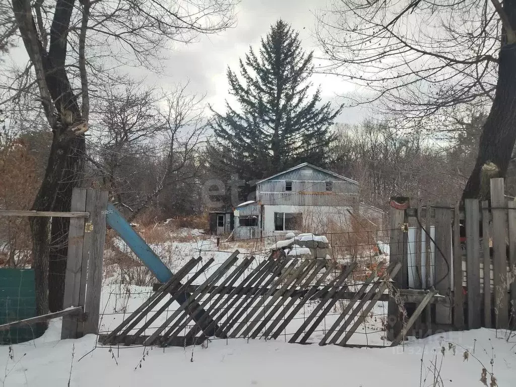 Участок в Амурская область, Благовещенск  (10.8 сот.) - Фото 2