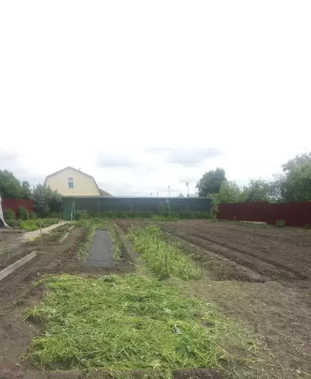Дом в Московская область, Воскресенск городской округ, д. Свистягино ... - Фото 1