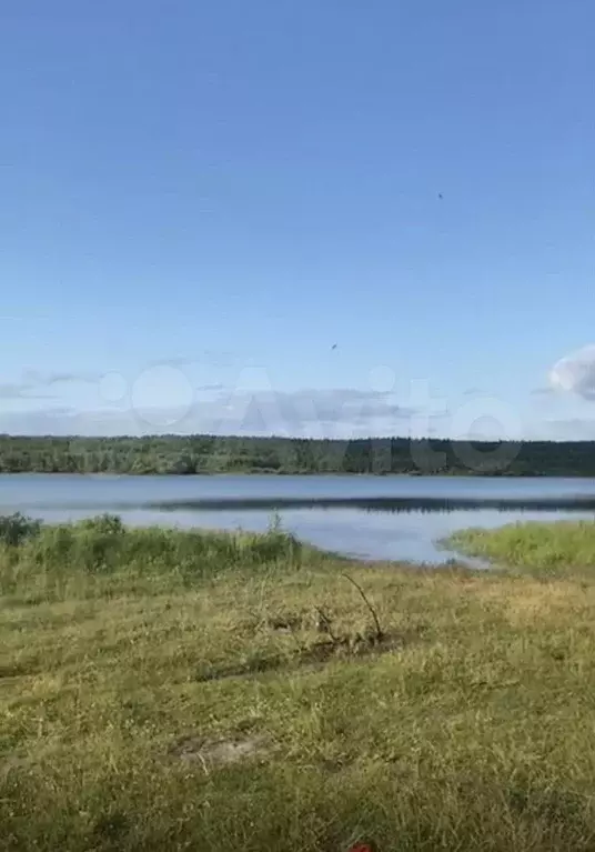 Участок 12 сот. (ИЖС) - Фото 0