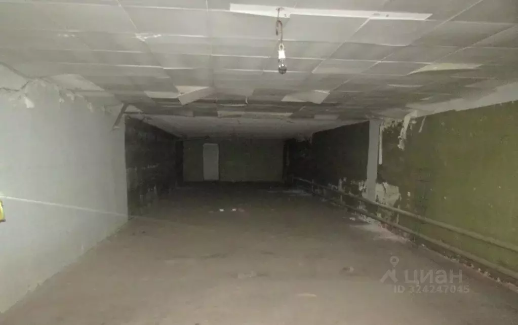 Помещение свободного назначения в Воронежская область, Воронеж ул. 9 ... - Фото 2