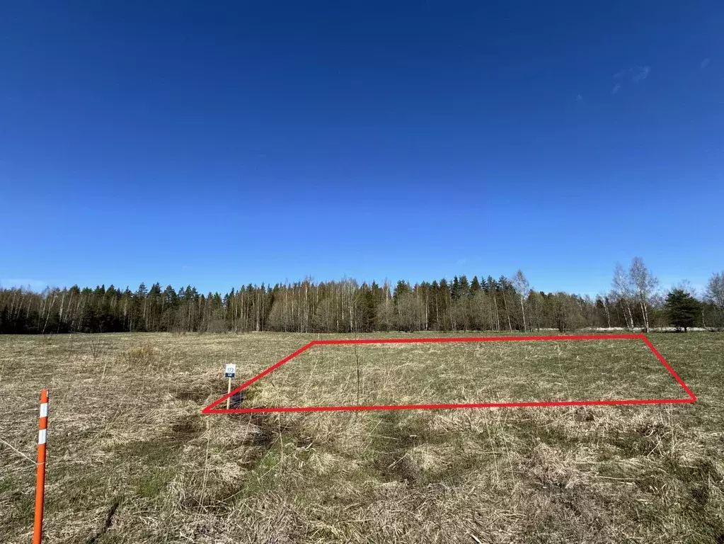Участок в Ленинградская область, Приозерский район, Ромашкинское ... - Фото 0