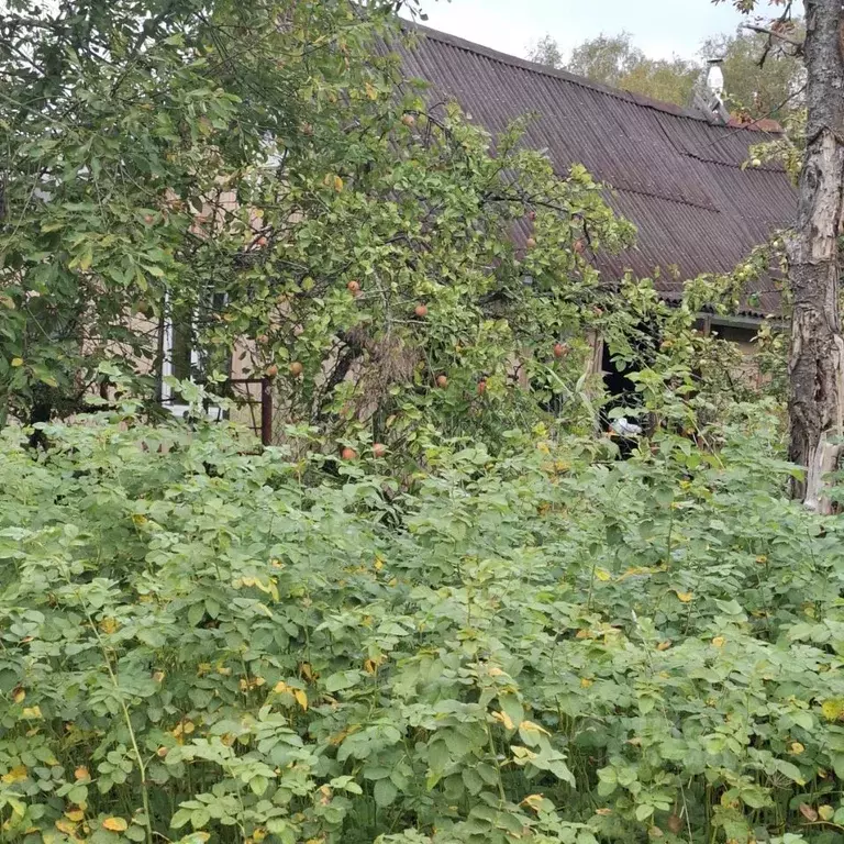 Дом в Ленинградская область, Кировский район, Синявинское городское ... - Фото 0