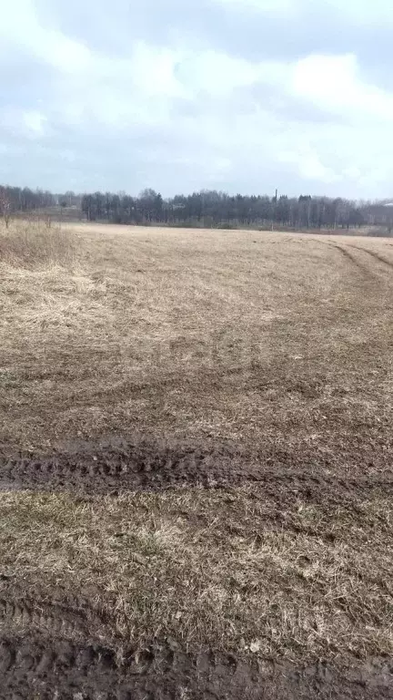 Участок в Тульская область, Щекинский район, Яснополянское с/пос, пос. ... - Фото 0