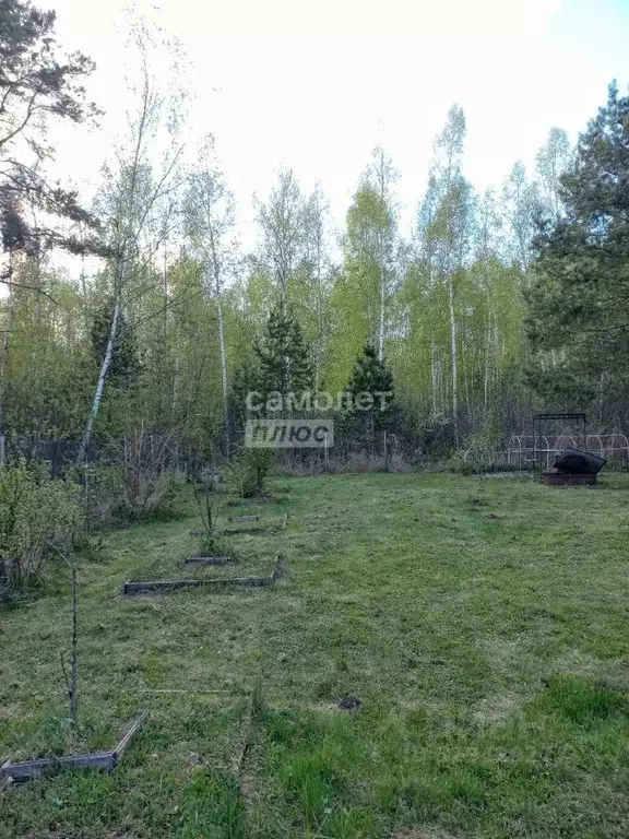 Участок в Московская область, Орехово-Зуевский городской округ, Марс ... - Фото 1