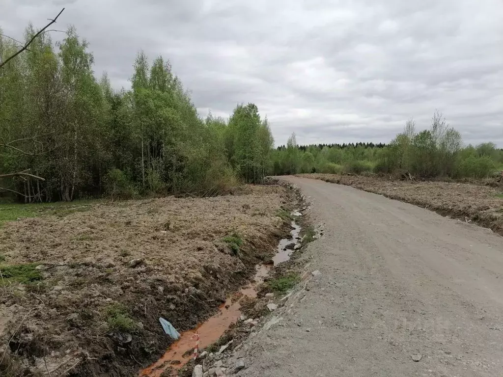 Участок в Ленинградская область, Всеволожский район, Лесколовское ... - Фото 0