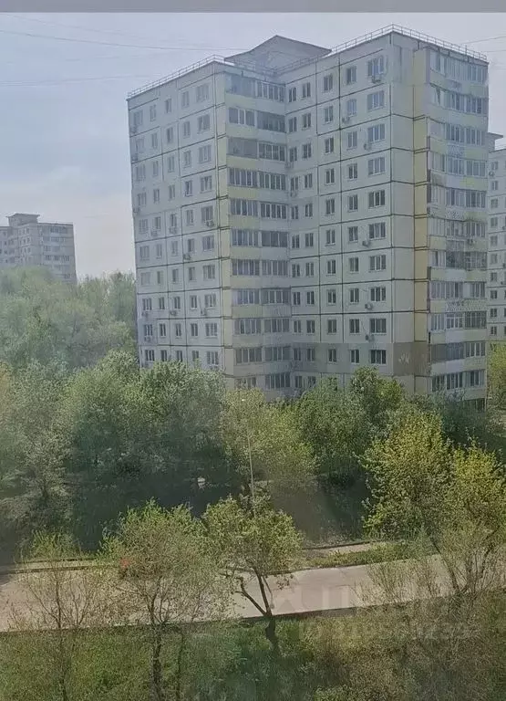 Студия Приморский край, Владивосток ул. Чапаева, 12 (17.0 м) - Фото 0