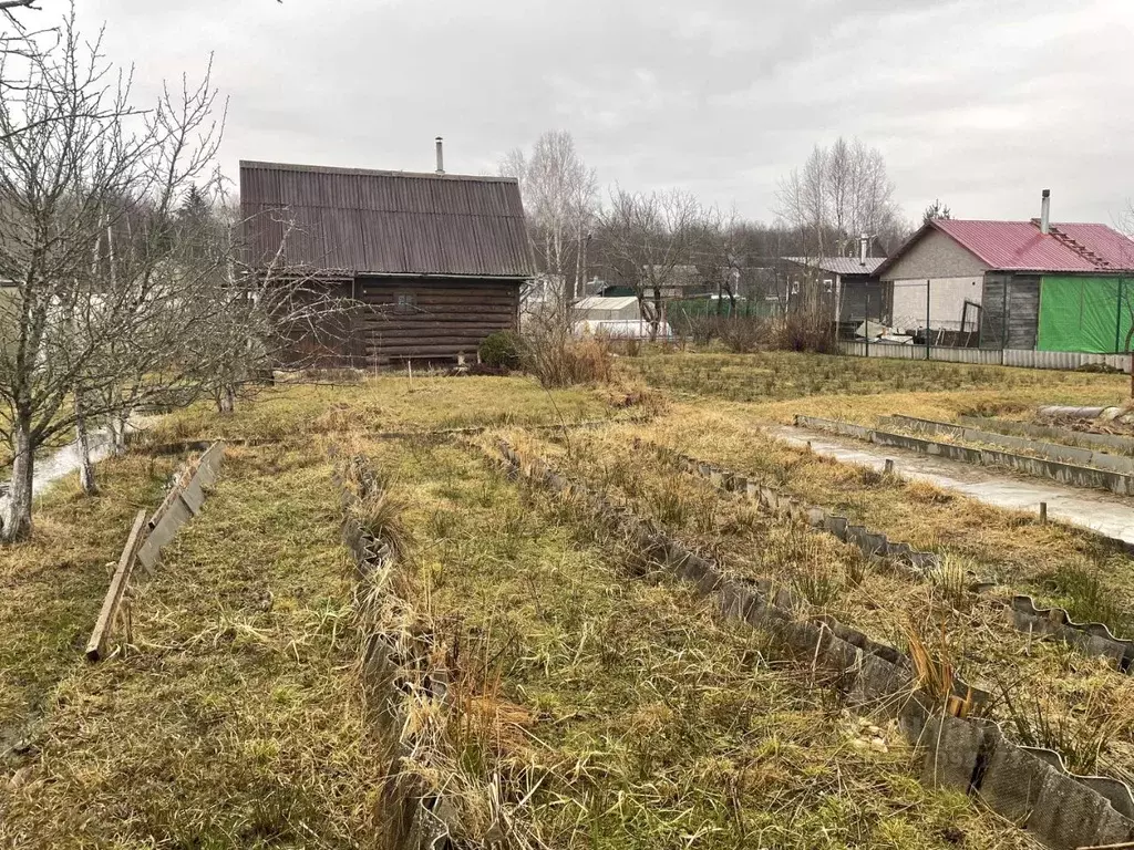 Участок в Псковская область, Гдовский муниципальный округ, Здоровье ... - Фото 1