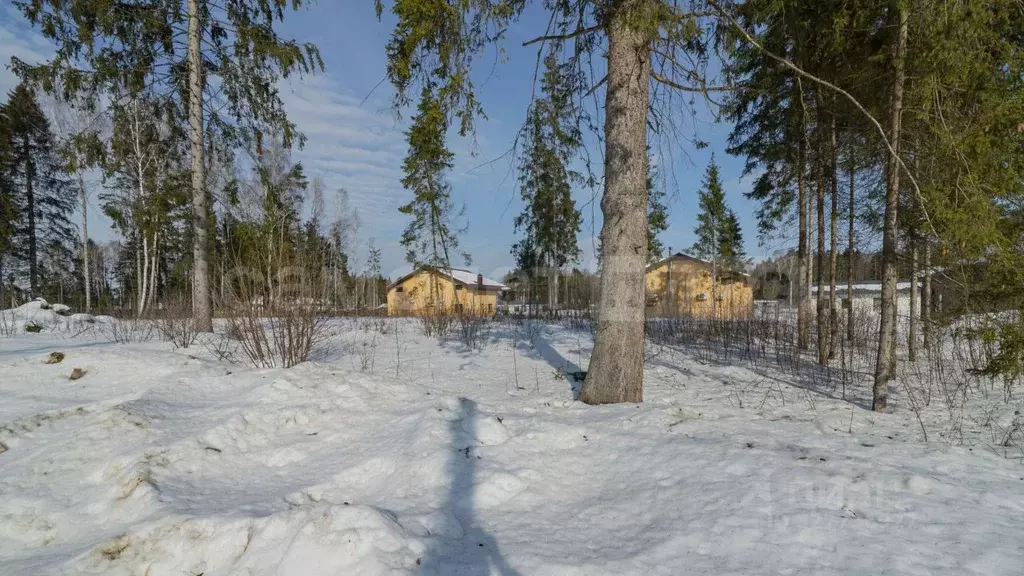 Участок в Московская область, Наро-Фоминский городской округ, д. ... - Фото 2