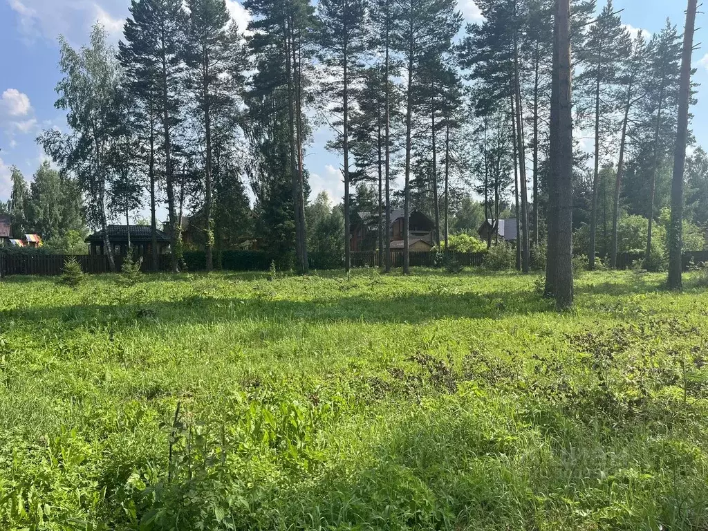 Участок в Владимирская область, Александровский район, Каринское ... - Фото 0