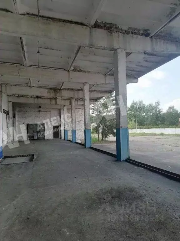 Склад в Московская область, Егорьевск ул. Промышленная, 1 (291 м) - Фото 2