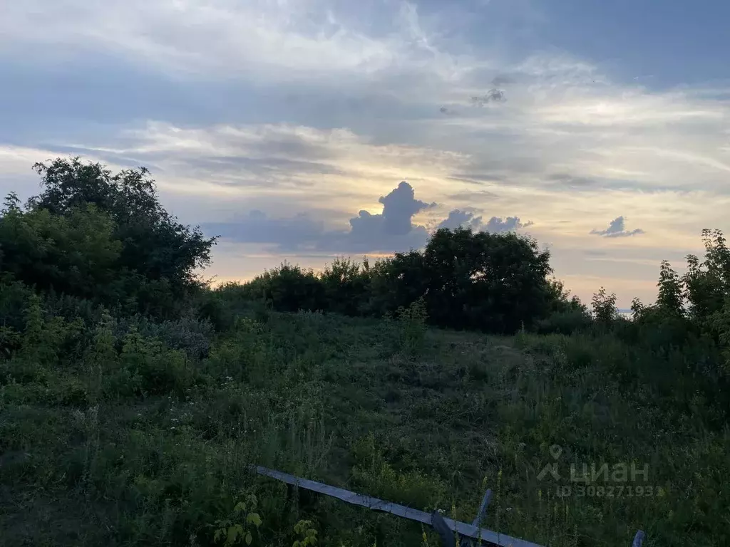 Участок в Ульяновская область, Майнский район, Игнатовское городское ... - Фото 0