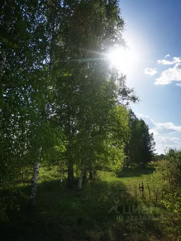 Участок в Московская область, Орехово-Зуевский городской округ, Азот ... - Фото 1